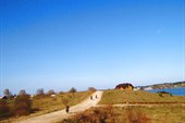 IMG_4623