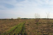 IMG_4641