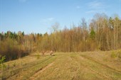 IMG_4642