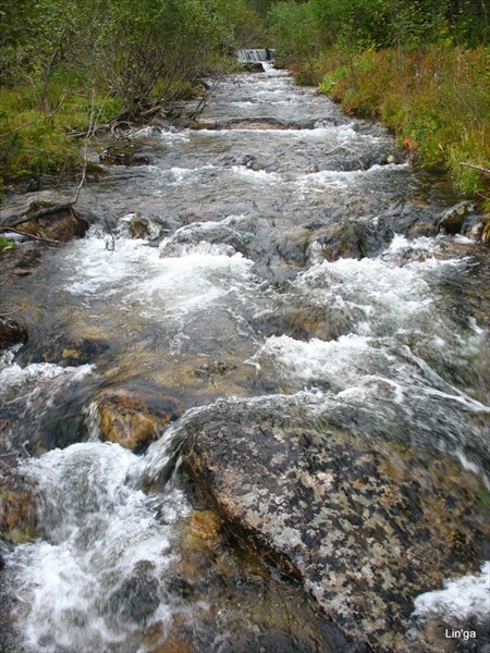 Приток реки Метугулка