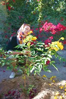 Красивый остров Киш