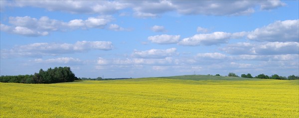 Мирный европейский пейзаж.