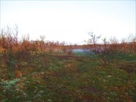 24 рощица рядом с лагерем, 3 часа «ночи»