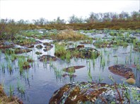 33 протока с камнями