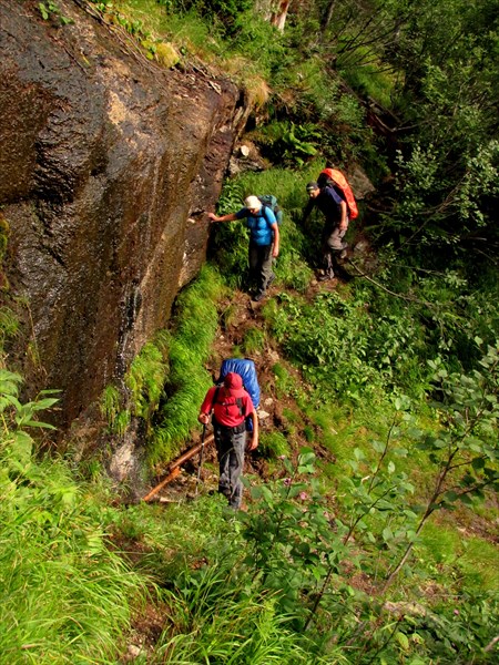 Наша команда