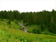IMG_7978-природный парк "Ергаки"