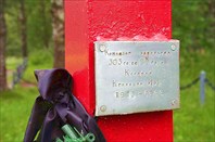 Фото. 98. Могилы в лесах вдоль дороги в Пряжу