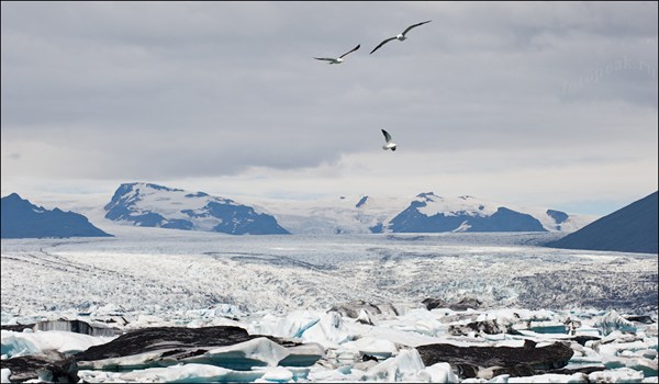 Ледяная Лагуна (Jokulsarlon Lagoon)