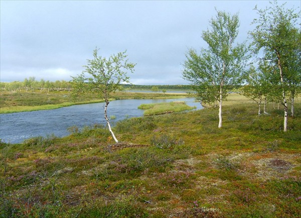 Истоки р.Nikulasjoki