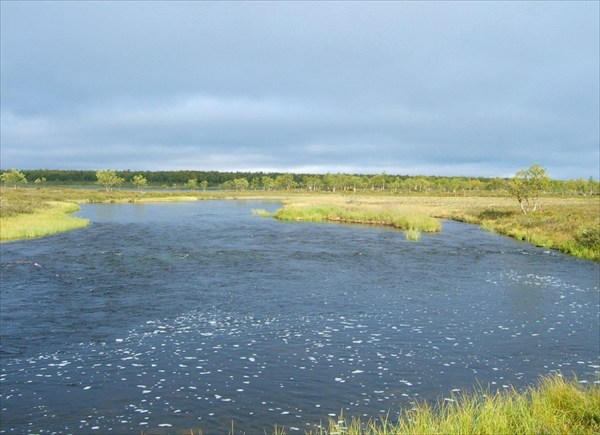 Nikulasjoki