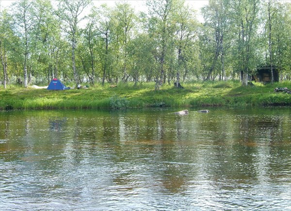 Вид на лагерь с противоположного берега Vaijoki.