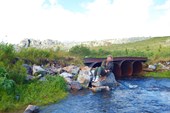DSCN0269