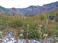 Вид на долину Ярлу