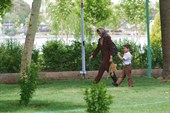 IMG_3961