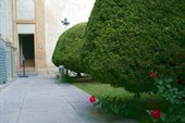IMG_4016