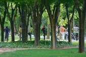 IMG_4079