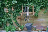 IMG_4091