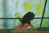 IMG_4148