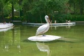 IMG_4150