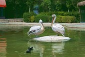 IMG_4172