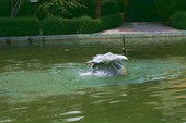 IMG_4173