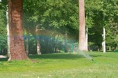 IMG_4214