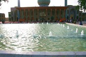 IMG_4241