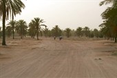 IMG_4344