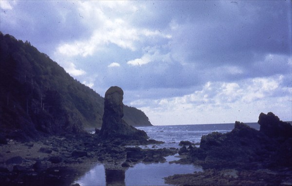 Скалы северного побережья острова Кунашир