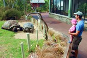 Auckzoo_08