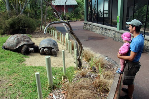 Auckzoo_08