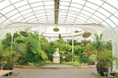 Ботанические сады Глазго