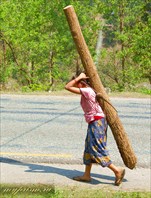 Девушка с бревном