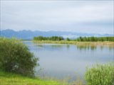 IMG_2948