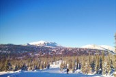 IMG_2204