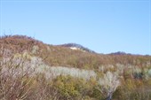 IMG_1750