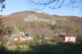 IMG_1755