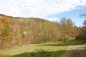 IMG_1799