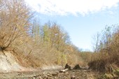 IMG_1804