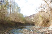 IMG_1806