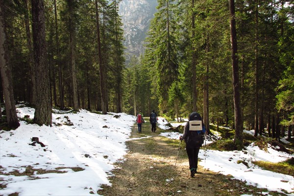 В лесу над Ponticello