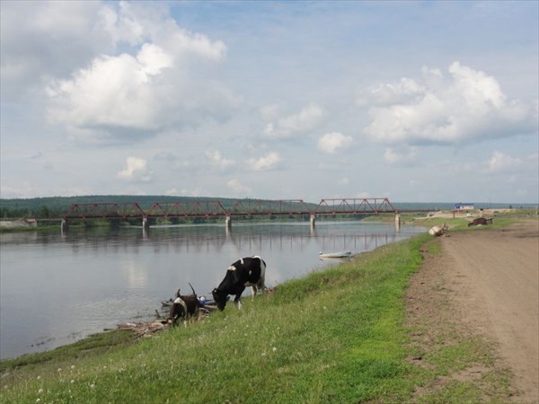 Мост у Малеево.