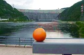 Фото. 77. Грейпфрут и Саяно-Шушенская ГЭС