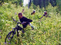 Фото. 9. «Дорога» вдоль ЛЭП из Ортона