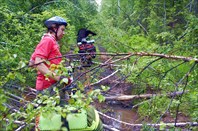 Фото. 28. Заросшая дорога после переправы через Каинзас