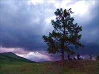 Фото. 41. Наш бивак под лиственницей, р.Бейка