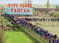 0-Парк львов Тайган