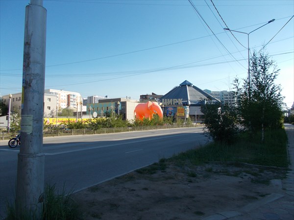 Розовый мамонт