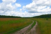 Полевая дорога