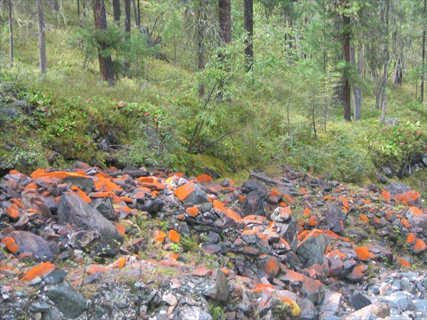 Оранжевый цвет камней во многих местах.